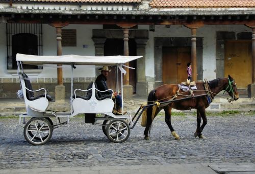 mexico puebla carriage