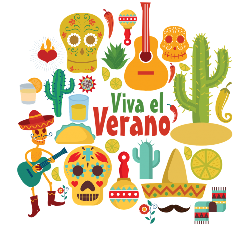 mexico guitar cactus