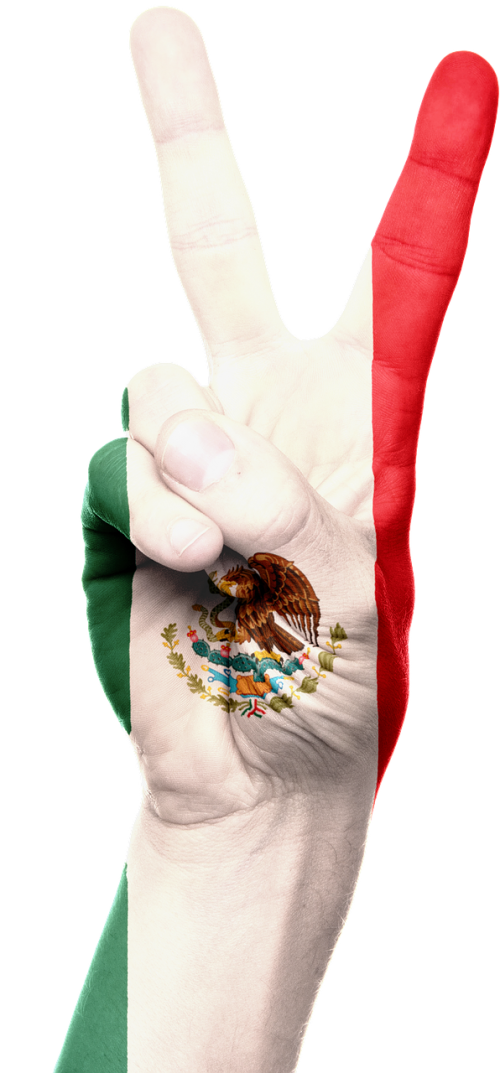 mexico flag hand