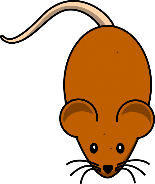 mice mouse brown
