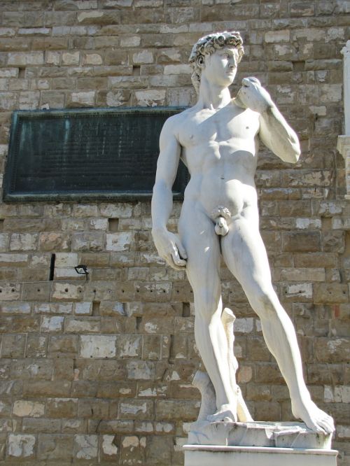 michelangelo's david statue statue of david
