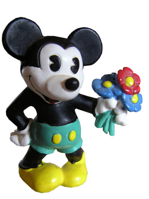 mickey mouse flowers