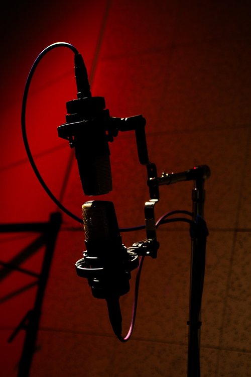 microphone  red