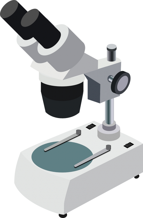 microscope science magnify