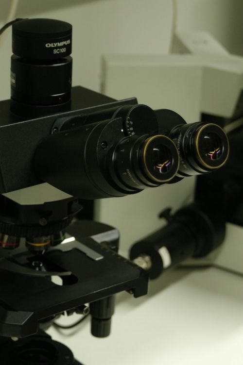 microscope laboratory research