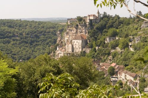 middle ages forest city