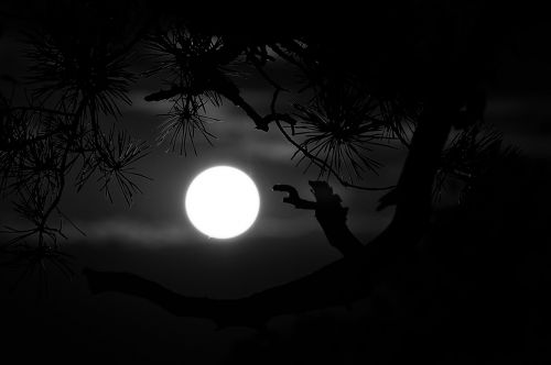 midnight full moon moon
