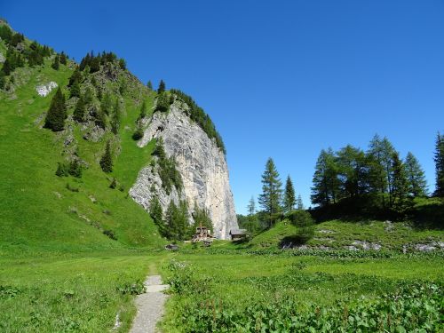 migratory path landscape meadow