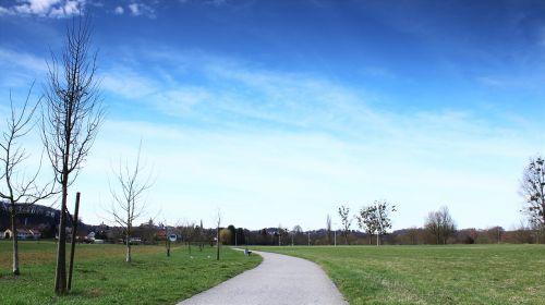 migratory path sky meadow