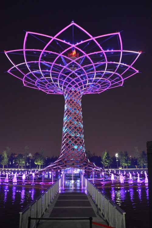 milan universal exhibition tree of life