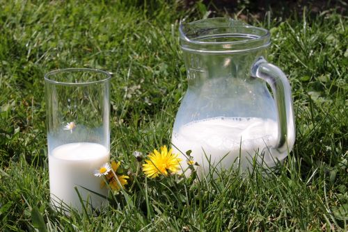 milk glass carafe