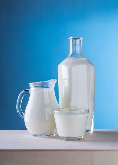 milk dairy products pitcher