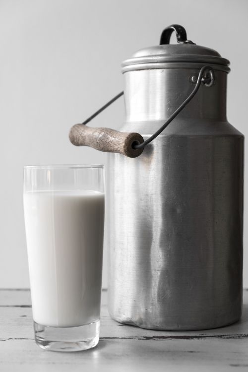milk food nutrition