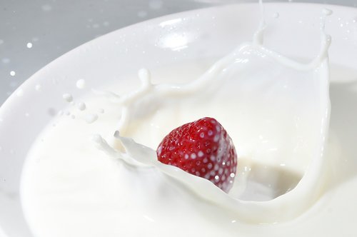 milk  white  food
