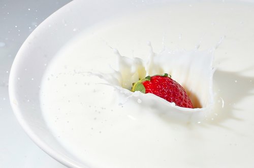 milk  white  food