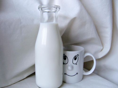 milk cow drink