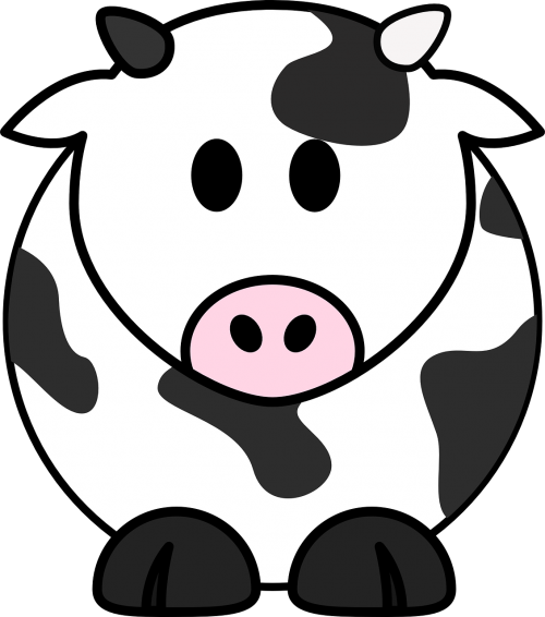 milk cow cow cattle