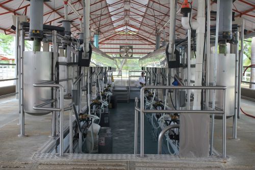 milking milking installation order