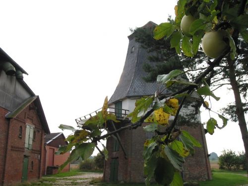 mill windmill autumn