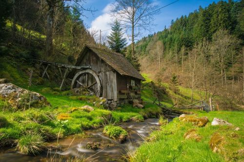 mill black forest bach