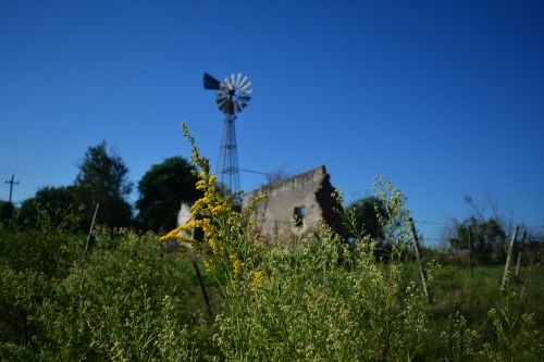 mill field uruguay