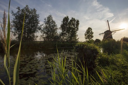 mill  nature  landscape