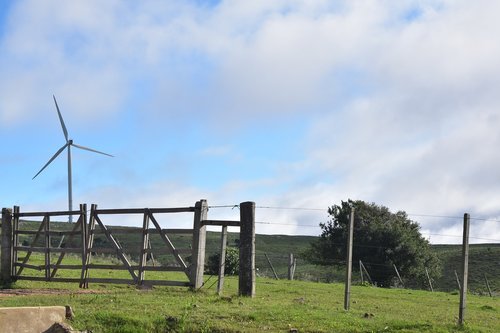 mill  portress  paddock