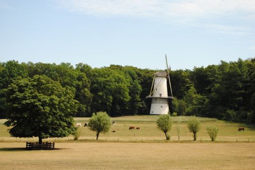 mill landscape netherlands