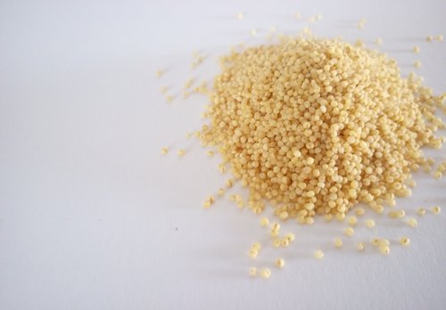 millet  food  grain