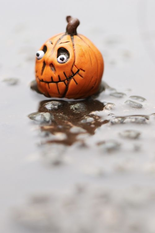 miniature figure pumpkin