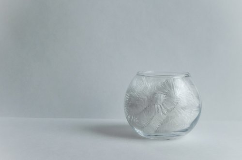 minimalism  vase  white