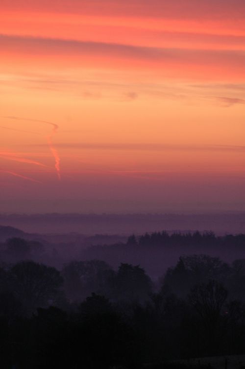 minstead forest sunrise