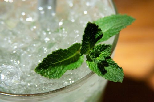 mint cocktail ice
