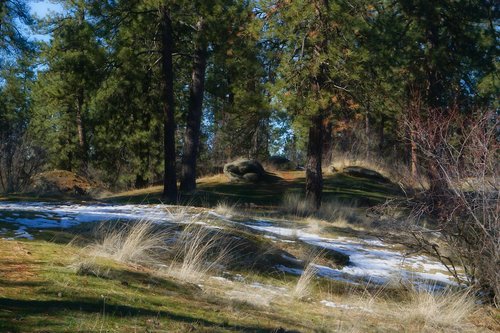 mirabeau  landscape  spring