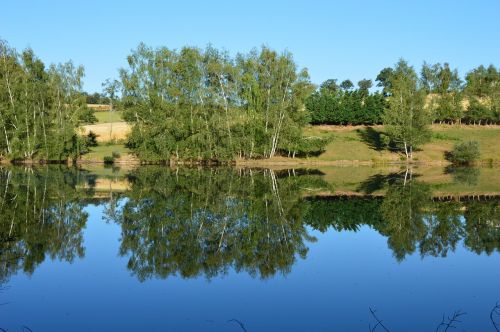 nature pond landscape