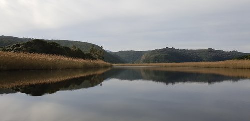 mirror  symmetry  outdoor