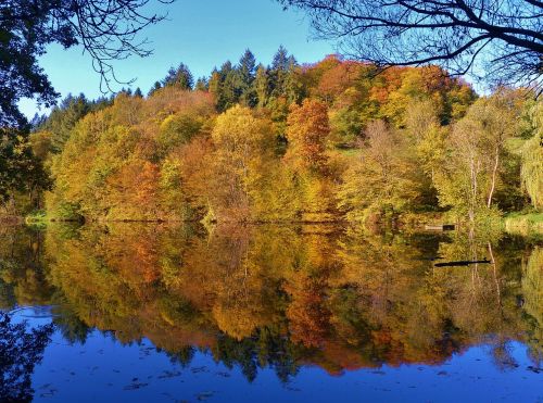 mirror image fall foliage autumn on lake