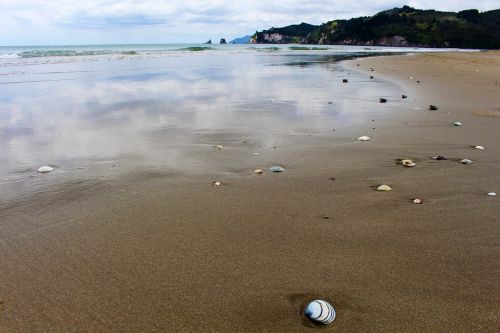 mirroring beach new zealand