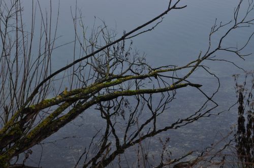 mirroring lake water