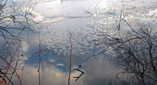 mirroring spring thaw
