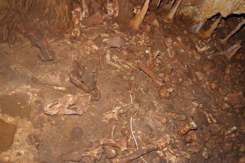 misguide muslims from bones kőlyuk cave