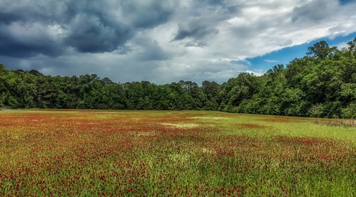 mississippi  panorama  meadow