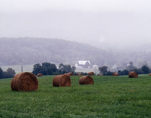 mist shenandoah valley rural