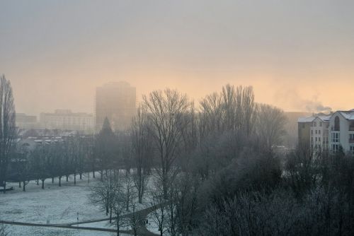 mist fog winter