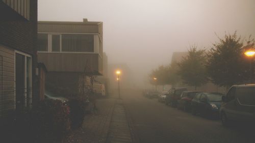 mist dusk city