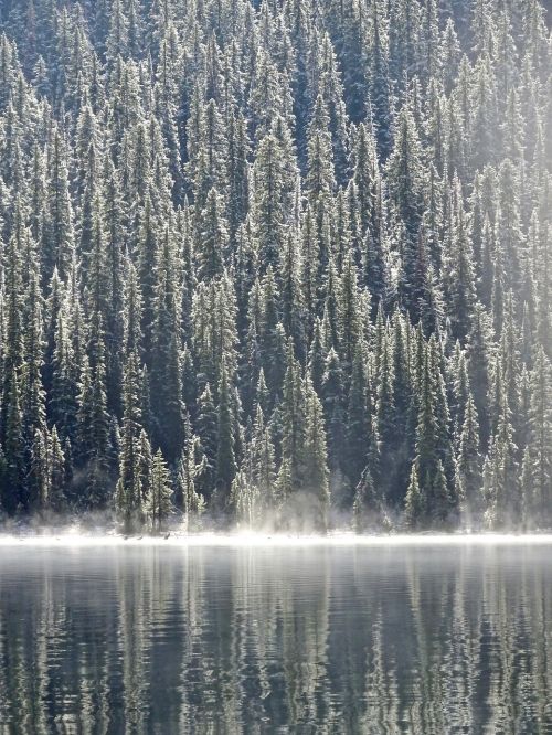 mist morning lake