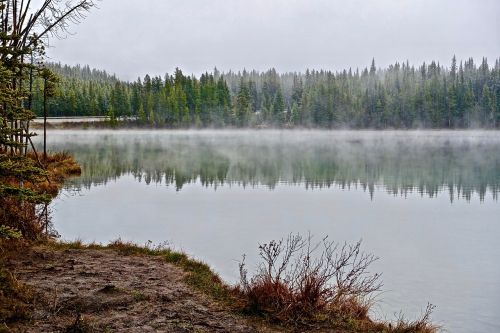 mist lake morning