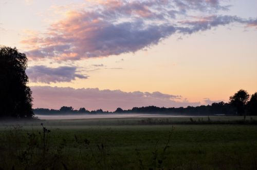 mist evening go