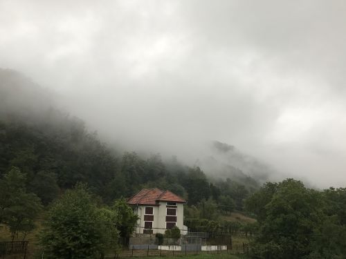 mist spooky transylvania