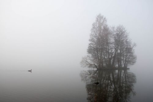 mist water grey